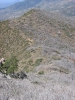 PICTURES/Browns Peak/t_Hiker going down trail from peak.JPG